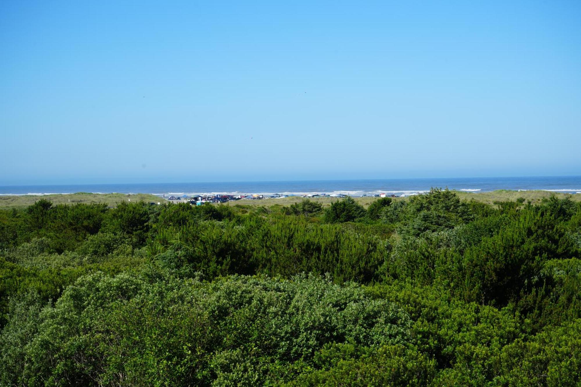 Coratel Inn And Suites By Jasper Ocean Shores Kültér fotó